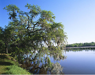 机对机的应用大全下载2023：钢铁巨兽，未来都市的终极竞速对决