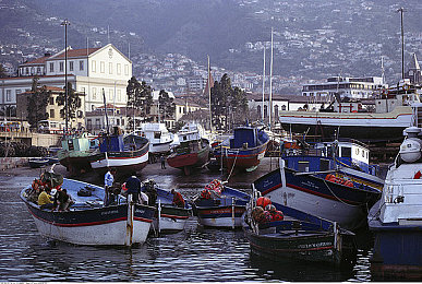 国产区 一区:华夏极速复兴之路,驾驭国产赛车驰骋文化赛道-2