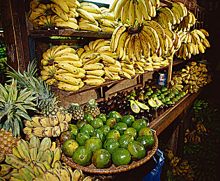 黄色软件3.0.3免费观看安装下载：霓虹夜幕，极速狂飙风暴再临