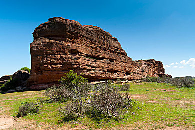 乔巴帮罗宾排毒：《海贼竞速》全新版本上线，双线操作生存挑战今日开启