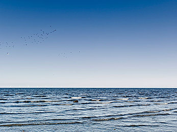 欧洲专线二区三区四区：极速狂飙，全新欧陆赛道今日开放，挑战你的驾驶极限-2