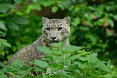 黄色软件无限次vivo免费安装下载：街头竞速传奇上线，深度改装系统引爆移动竞速新体验-1