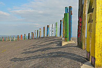 亚洲专区一区二区三区:霓虹山道,雨林迷城,东方极速幻想之旅-2