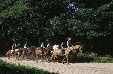 色多多A V：霓虹赛道上的视觉狂欢，速度与色彩的终极竞速体验-2
