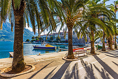 トロ排泄脱粪5：废土飞驰，世界重生的竞速诗篇