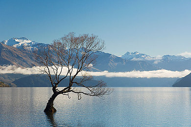 免费打扑克做运动：极速狂飙，牌型组合决胜赛道风云