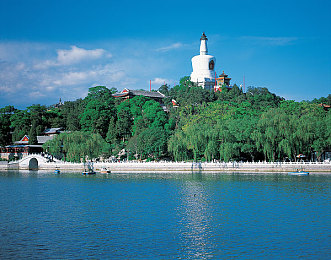 トロ排泄脱粪5：废土飞驰，世界重生的竞速诗篇-2