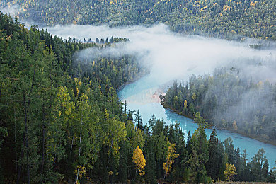 黄色软件4.0：代码调校赛车，硬核改装模拟新标杆-2