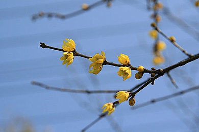 AI明星MV造梦：虚拟偶像竞速新纪元，手握方向盘谱写自定义赛道狂想曲