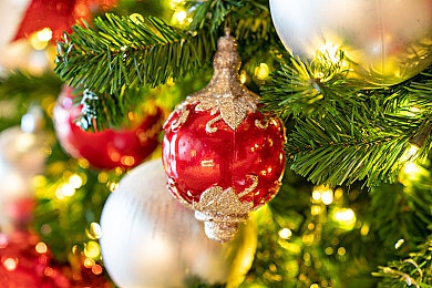 机机和机机手机免费版2025：2025科幻竞速新作登场，移动端免费畅玩未来赛车-1