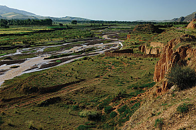 页面访问升级狼友：极速改装，解锁车库，挑战赛道性能巅峰-2