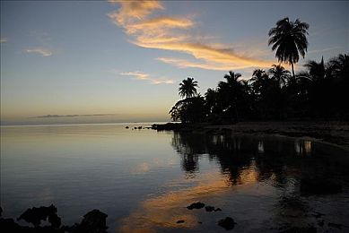 91抖抈短视频app免费看：都市风云极速狂飙，百款名车自由改装探索-2