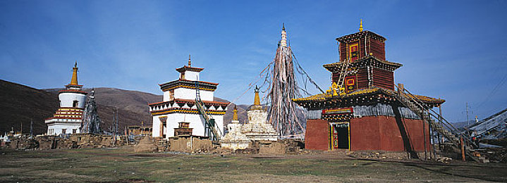 bdSm日本：极速狂飙，征服东京湾，体验真实改装文化