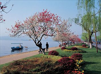 殴州一区二区:极限竞速地平线欧洲双区攻略,征服高难赛道与多变天气-3