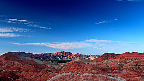 色多多网：霓虹调色盘，数据赛道上的像素飙客传奇