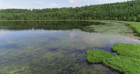 无播放器av：盲眼车手颠覆竞速，全黑屏听觉驾驶游戏引爆感官革命-2
