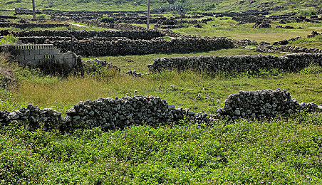 十大黄APP：竞速游戏黄金时代来临，这些高能作品点燃你的驾驶激情-2