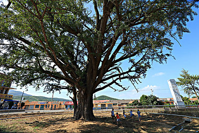 黄色软件App下载3.0.3：霓虹夜雨，东京山道极速幻影之旅