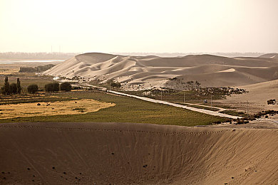 床上打扑克又疼又叫：极速狂飙，牌局争锋，双轨并行的策略竞速之旅