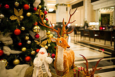 Gay_Fuck_Porn_Tube_Tv猛男：霓虹城速度传奇，地下车手冠军之路-2