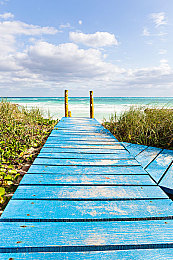 黑人 亚洲人 娇小：极速地平线，街头传奇，多元竞速与文化交融之旅-3