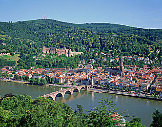 7r7tcc免费版最新版本:霓虹城街头新王诞生,开放世界竞速免费版迎来革命性更新-2