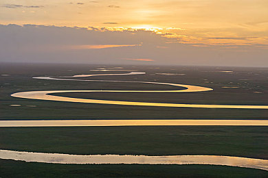 女人与猪做爱：荒野盟约，跨越形态的共鸣之旅-1