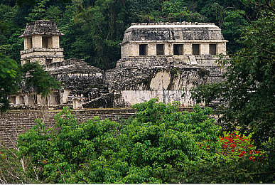 SM调教男奴:驾驭钢铁烈马,与物理法则的缜密对话-2