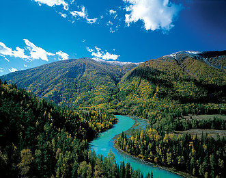 芭乐app官方网站人口统计2023：2023竞速游戏玩家生态报告，揭示虚拟赛道上的速度与激情-2