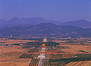 69乐园交友平台：车轮上的社交革命，虚拟都市开启极速交友新纪元