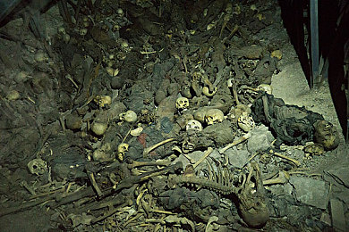 vivo黄色软件免费下载：疾驰于光影之间，移动端赛车视觉艺术新篇章