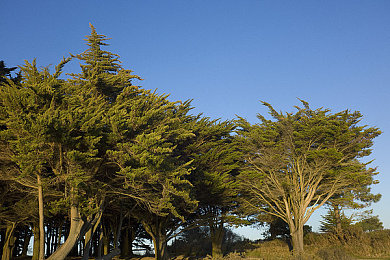 东京热黄网:霓虹都市极速狂飙,夜战东京街头竞速传奇-2