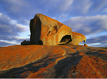 扑克又叫又疼软件：卡牌策略与硬核驾驶碰撞，赛道赌徒带来双重挑战体验-2