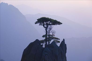 萌白酱喷水在线看：极速幻想，彩虹轨迹与氮气艺术的竞速美学