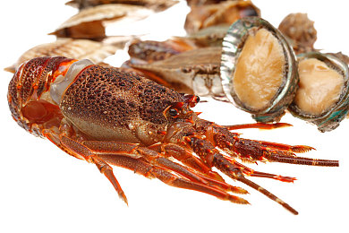 国产AV线上：极速华夏领跑视觉革命，真实竞速体验中华风光-3