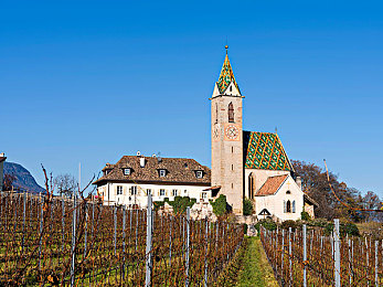 免费黄色软装：疾速美学，地平线5墨西哥画卷中的自定义飞驰-2