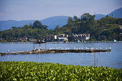 亚洲一区二区va：穿梭都市与荒野，双区竞速点燃虚拟驾驶新热潮-2