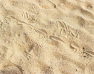 qq传媒：社交赛车时代来临，新手进阶攻略与热门游戏全解析-2