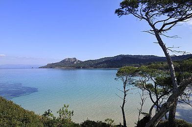 天天舔天天操天天射：极致沉浸，从调校到冲刺的赛车艺术全解析-3