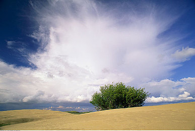 李蓉蓉传媒：在竞速世界中打造你的赛车媒体王国，体验主编视角