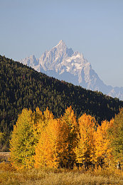 一区二区三区四区五区：竞速新作五大挑战地带全解析，征服终极赛道必备攻略