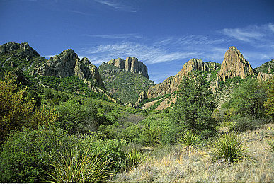 成人黄色app:霓虹夜幕下的终极驾驶,光晕城极速传说-2