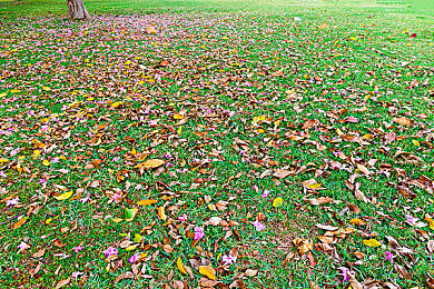 管鲍之交分拣中心茄子:古典友谊驱动未来赛车,双人协作共闯赛博都市-3