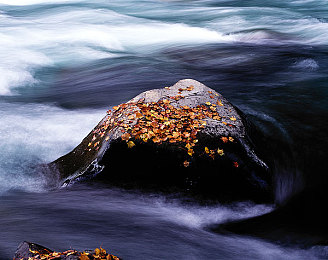 黄色软件下载口：暗夜引擎，非法改装的隐秘邀请函-2