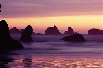 天天操天天日天天射：每日竞速新标杆，硬核赛车模拟体验极致操控之旅