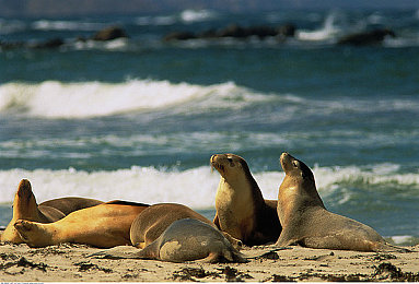 性别自由凸轮管西元汇编英语怎么说：赛博纪元，引擎之心，无界定制与时空竞速的终极融合-2