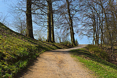 中文国产成人：极速荣耀，策略驾驭，真实赛道上的心智竞逐-3