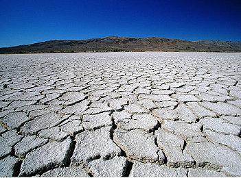 黄色软件2025：极速代码2025正式上线，赛博赛车融合实时黑客玩法引热潮