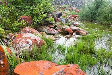 双人床上打扑克又痛：极速狂飙与策略卡牌的交织协奏-2