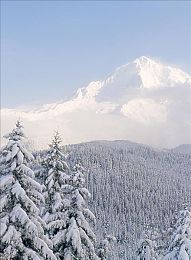 火辣辣福建：极限竞速地平线5新赛道，闽南海岸风情驾驶体验今日上线-3